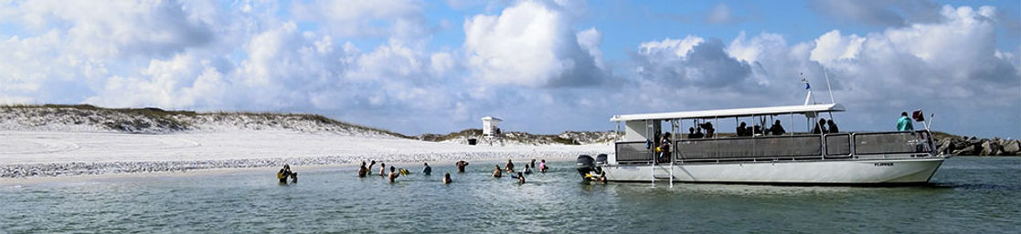 Guided Snorkeling and Dolphin Watching from Destin Harbor image 9
