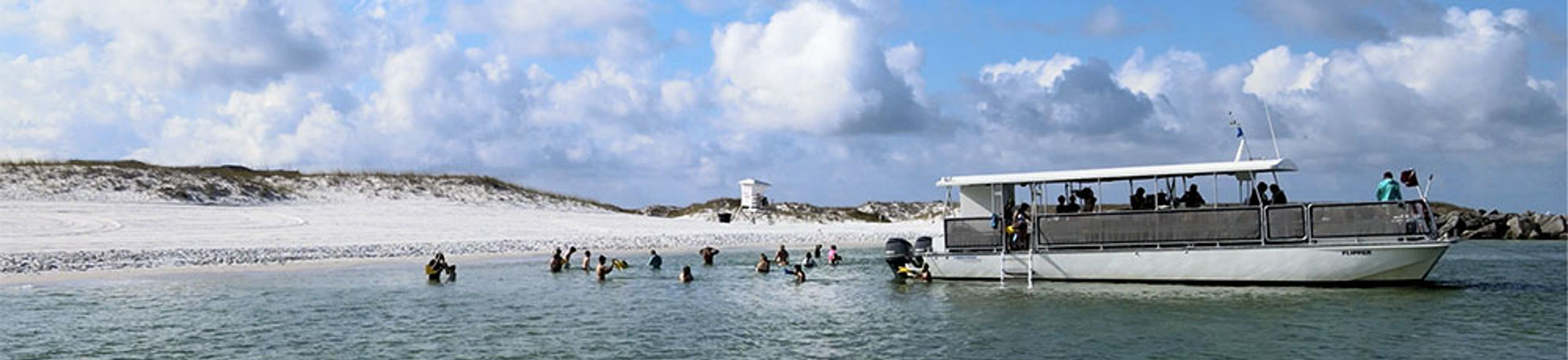 Guided Snorkeling and Dolphin Watching from Destin Harbor image 9