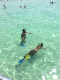 Guided Snorkeling and Dolphin Watching from Destin Harbor image 5