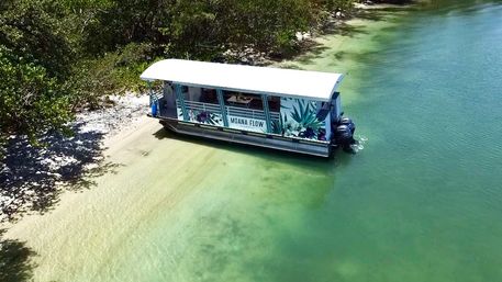 Tropical-wrapped pontoon boat beached on a sandy shore beside shallow clear turquoise water and mangrove-lined coastal inlet, sunny island vibe.