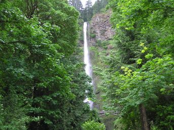 Multnomah Falls & Columbia River Gorge Tour image 5