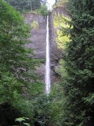 Multnomah Falls & Columbia River Gorge Tour image 3