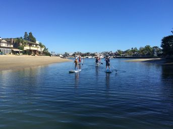 Surfing or Paddle Boarding Lessons at Laguna Beach: Reefs, Hidden Beaches, Dolphins, Marine Life, and More image 13