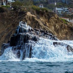 Surfing or Paddle Boarding Lessons at Laguna Beach: Reefs, Hidden Beaches, Dolphins, Marine Life, and More image 5