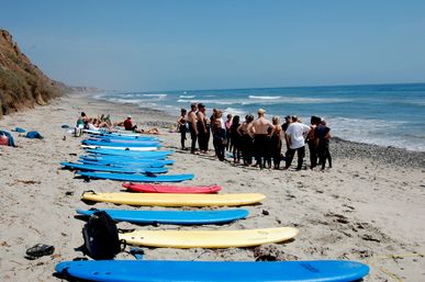 Surfing or Paddle Boarding Lessons at Laguna Beach: Reefs, Hidden Beaches, Dolphins, Marine Life, and More image 20