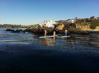 Surfing or Paddle Boarding Lessons at Laguna Beach: Reefs, Hidden Beaches, Dolphins, Marine Life, and More image 22