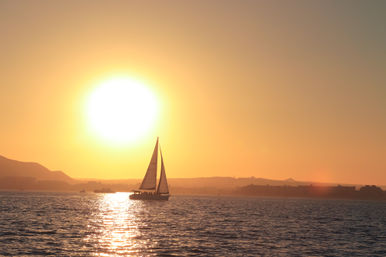Luxury Sunset Sailing with Open Bar & Appetizers (Up to 16 Passengers) image 14