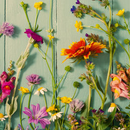 Flower Bar: A Custom Bouquet Experience image 2