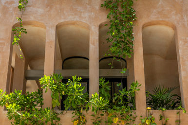 Casa Romeo: 5 BR Deluxe Villa Steps from the Beach image 12