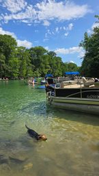 SUP Beaches! Cypress Springs Eco Tour from Panama City Beach image 6