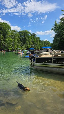SUP Beaches! Cypress Springs Eco Tour from Panama City Beach image 6