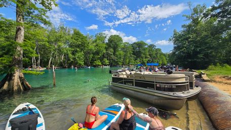 SUP Beaches! Cypress Springs Eco Tour from Panama City Beach image 15