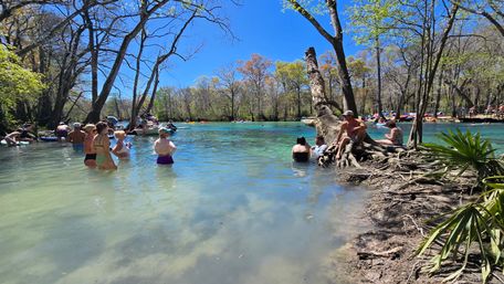 SUP Beaches! Cypress Springs Eco Tour from Panama City Beach image 10