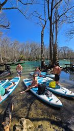 SUP Beaches! Cypress Springs Eco Tour from Panama City Beach image 2