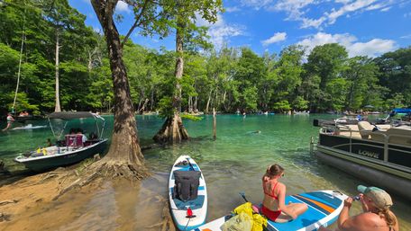 SUP Beaches! Cypress Springs Eco Tour from Panama City Beach image 3