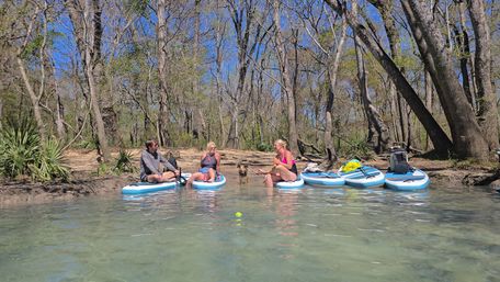 SUP Beaches! Cypress Springs Eco Tour from Panama City Beach image 13
