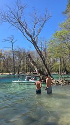 SUP Beaches! Cypress Springs Eco Tour from Panama City Beach image 8