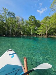 SUP Beaches! Cypress Springs Eco Tour from Panama City Beach image 14
