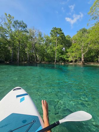 SUP Beaches! Cypress Springs Eco Tour from Panama City Beach image 14