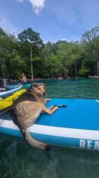 SUP Beaches! Cypress Springs Eco Tour from Panama City Beach image 19