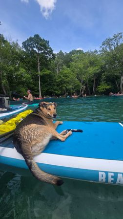 SUP Beaches! Cypress Springs Eco Tour from Panama City Beach image 19