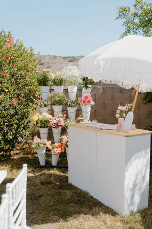 "Must-Haves" Party Set-Up: Balloons, Flowers, Groceries & More image 9