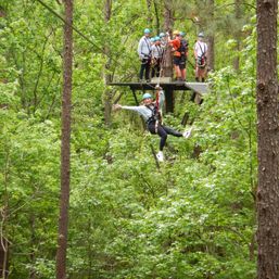 Thrilling Zipline Canopy Tour Adventure: Charleston Sky Soiree image 19