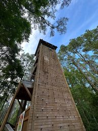 Thrilling Zipline Canopy Tour Adventure: Charleston Sky Soiree image 16