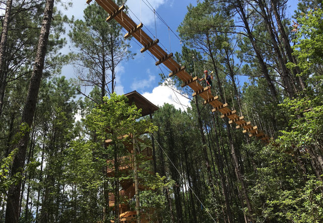 Thrilling Zipline Canopy Tour Adventure: Charleston Sky Soiree image 3