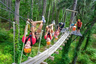 Thrilling Zipline Canopy Tour Adventure: Charleston Sky Soiree image 2