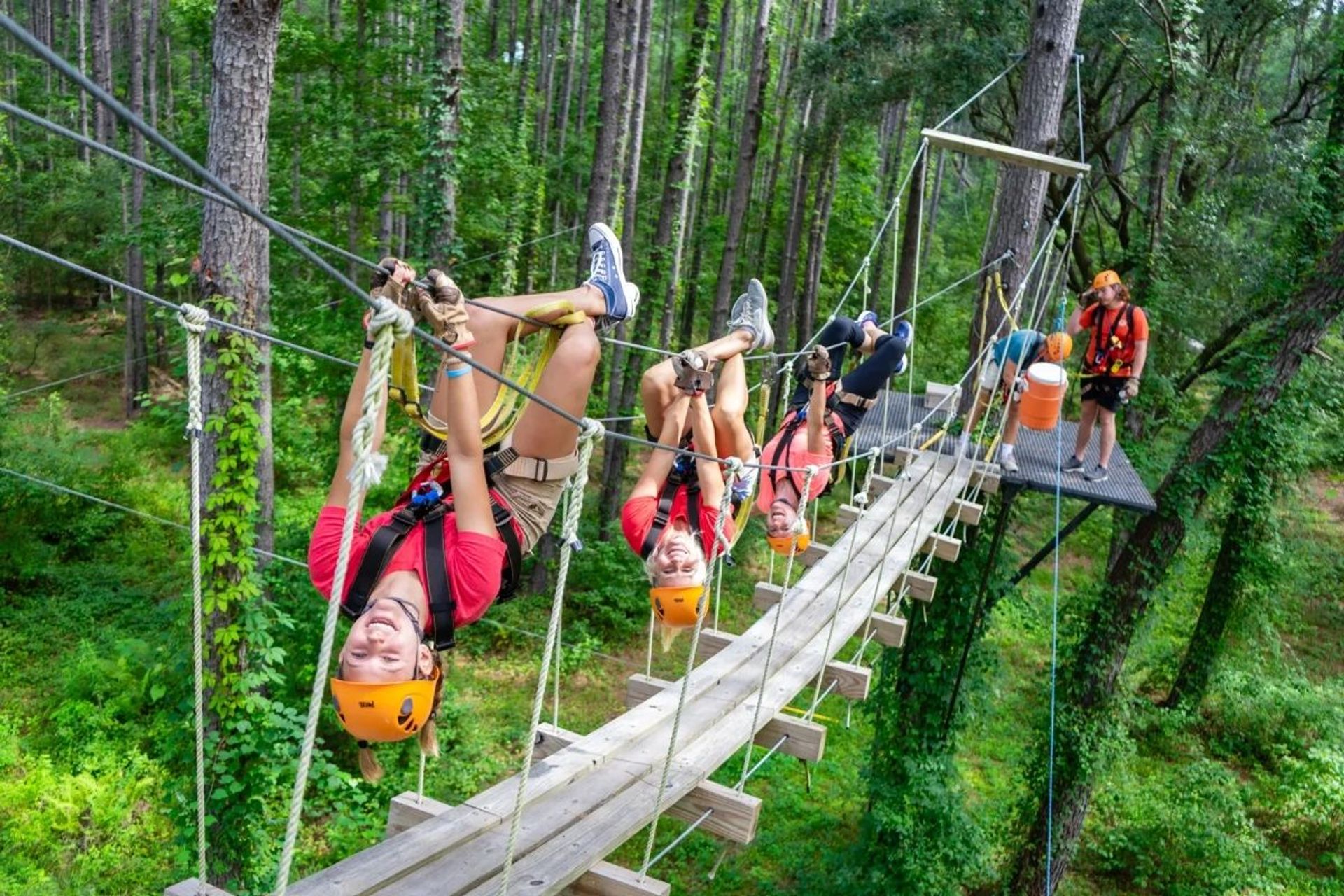 Thrilling Zipline Canopy Tour Adventure: Charleston Sky Soiree image 2