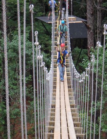 Thrilling Zipline Canopy Tour Adventure: Charleston Sky Soiree image 14