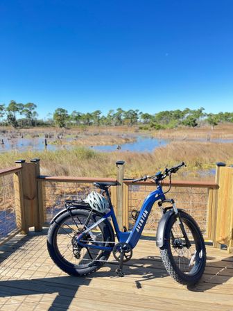 E-Bike Rental: Panama City Beach image 6