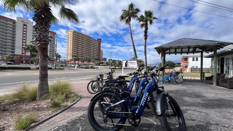 E-Bike Rental: Panama City Beach image 4