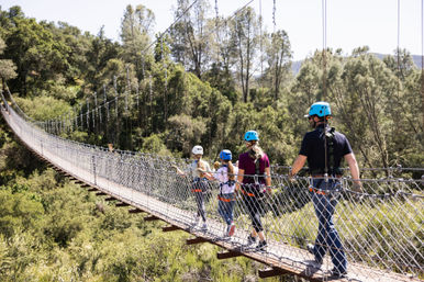 Thrilling Zipline Adventure at Santa Margarita Ranch  image 4