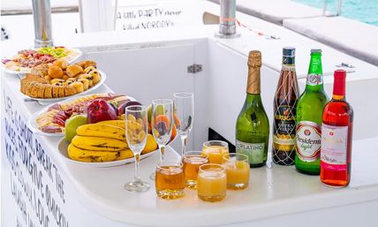 Private Catamaran Sailing & Brunch in Punta Cana image 5