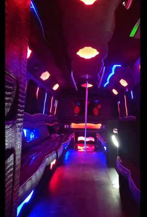 Party Bus Rental: EPIC Nights Start Here for Up to 26 Guests image 3