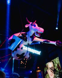 La Vaquita Cabo: The Wildest Nightlife in Cabo San Lucas image 3