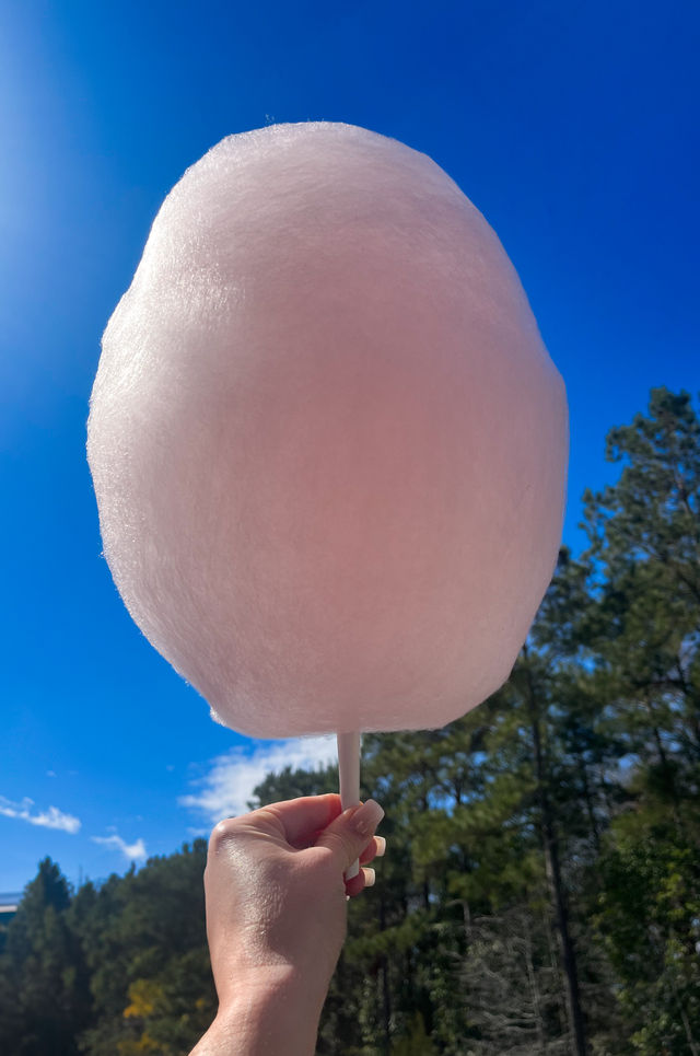 Mobile Snack Cart: Mimosas, Cotton Candy, Mini Pancakes, Sno Cones & More image 4
