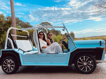 Posh Vintage Cart Moke Convertible Rentals: See Savannah in Style image