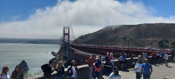 Muir Woods Marvels & Sausalito Sights: A Golden Gate Adventure image 2