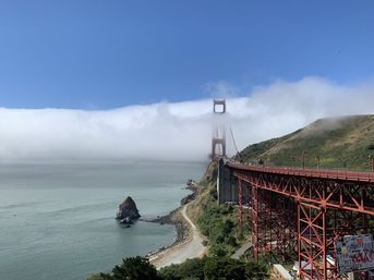 Muir Woods Marvels & Sausalito Sights: A Golden Gate Adventure image 9