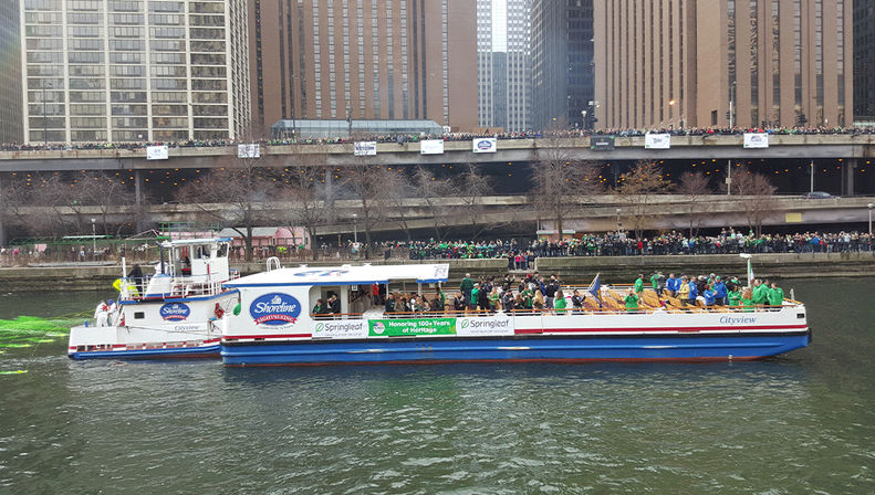 Best of Chicago History & Architecture Walking Tour with Optional Boat Cruise image 8