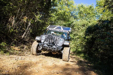 Jeep Tour & Scenic Photo Ops with an Expert Guide in the Smoky Mountains image 16
