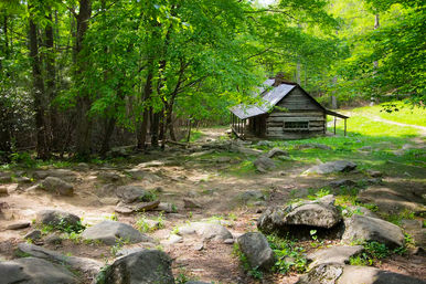 Jeep Tour & Scenic Photo Ops with an Expert Guide in the Smoky Mountains image 5