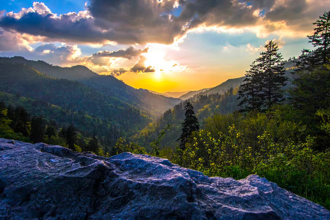 Jeep Tour & Scenic Photo Ops with an Expert Guide in the Smoky Mountains image 9