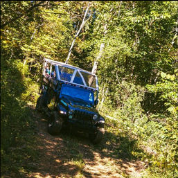 Jeep Tour & Scenic Photo Ops with an Expert Guide in the Smoky Mountains image 24