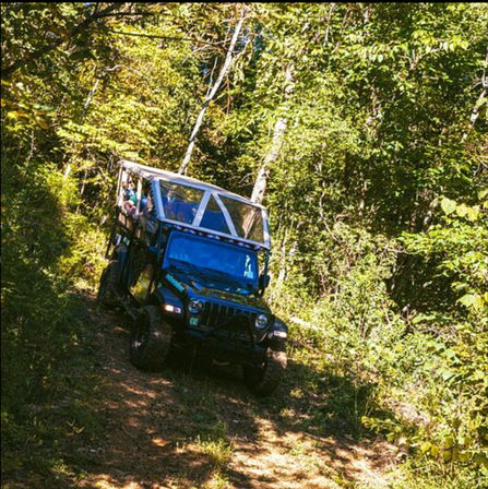Jeep Tour & Scenic Photo Ops with an Expert Guide in the Smoky Mountains image 24