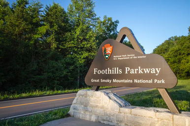 Jeep Tour & Scenic Photo Ops with an Expert Guide in the Smoky Mountains image 14