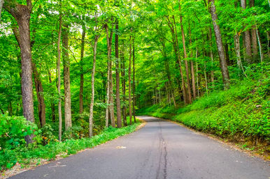 Breathtaking Jeep Adventure in Smoky Mountains With Experienced Guide & Photo-Ops image 10